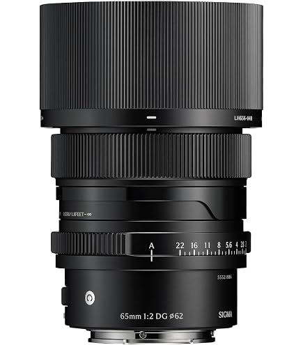 Amazon.com : Sigma 65mm F2.0 DG DN for Sony E Mount : Electronics